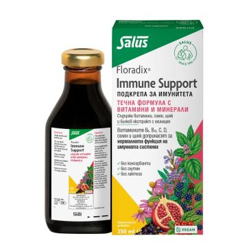 Floradix Immune Support Подкрепа за имунитета 250 мл