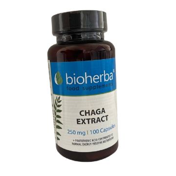 Bioherba Чага екстракт 250 мг х 100 капсули