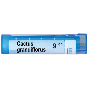 Boiron Cactus grandiflorus Кактус грандифлорус 9 СН
