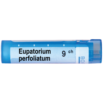 Boiron Eupatorium perfoliatum Еупаториум перфолиатум 9 СН