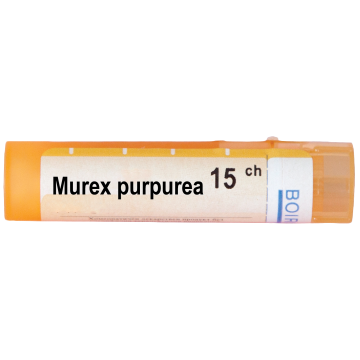 Boiron Murex purpurea Мурекс пурпуреа 15 СН