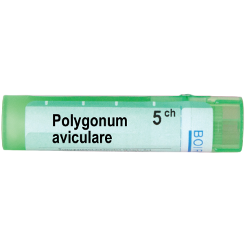 Boiron Polygonum aviculare Полигонум авикуларе 5 СН
