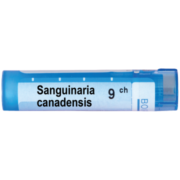 Boiron Sanguinaria canadensis Сангуинариа канаденсис 9 СН