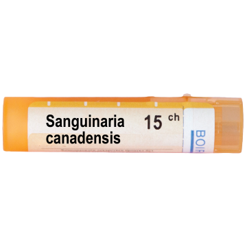 Boiron Sanguinaria canadensis Сангуинариа канаденсис 15 СН