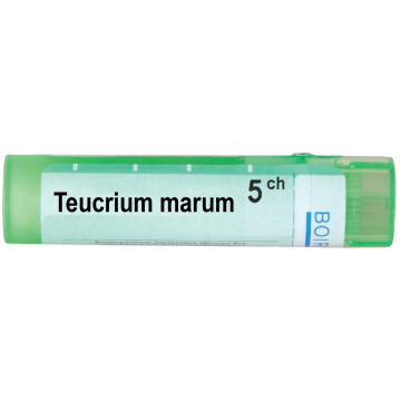 Boiron Teucrium marum Теукриум марум 5 СН