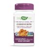 Nature's Way Cordyceps Кордицепс за повишаване на имунитета и тонуса 500 мг х60 V капсули