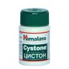 Himalaya Cystone Цистон Грижа за бъбреците и уринарния тракт х 60 таблетки