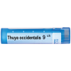 Boiron Thuya occidentalis Туя оксиденталис 9 СН