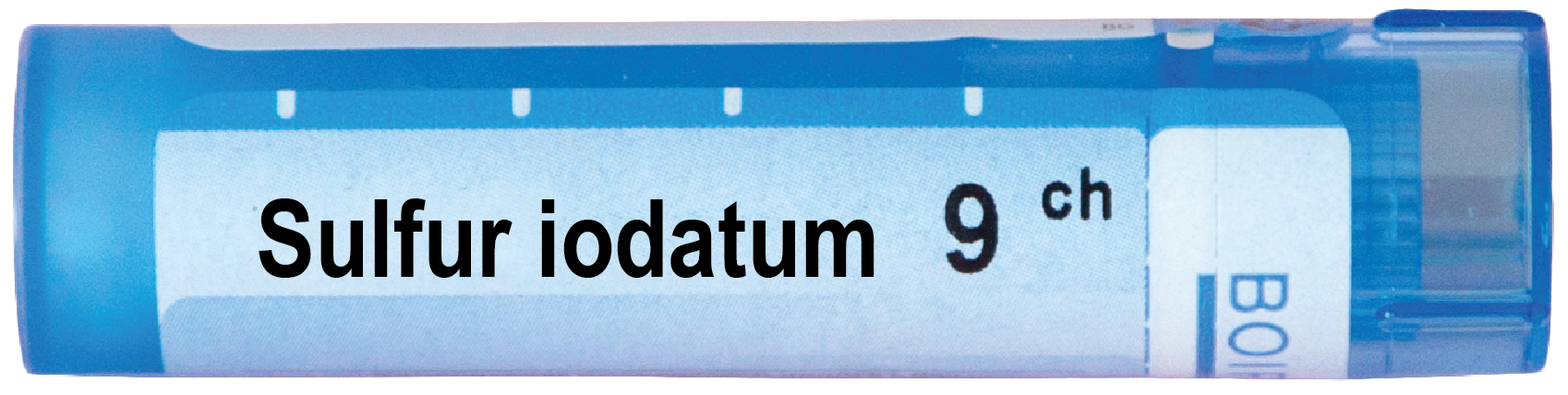 Boiron Sulfur iodatum Сулфур йодатум 9 СН