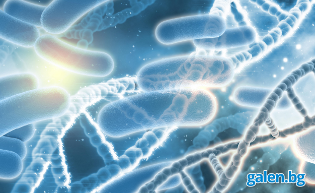 Чревен микробиом: Защо е важен и как да го поддържаме?