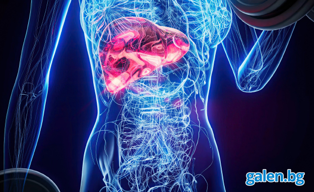 Цироза на черния дроб: ранни и късни симптоми, които не бива да игнорираме