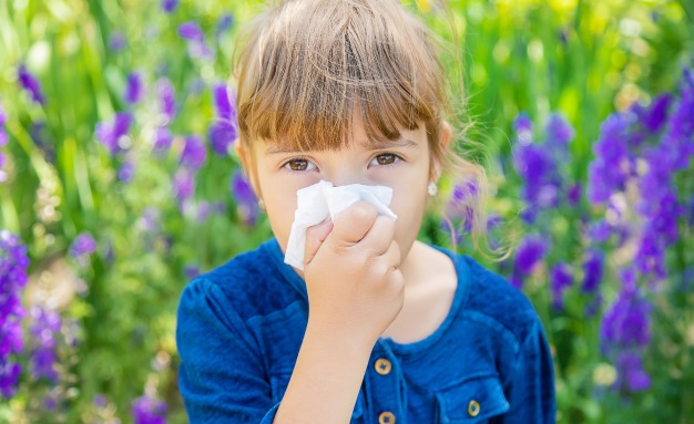 Как да се справим с летните алергии