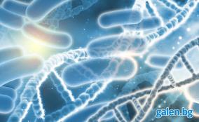 Чревен микробиом: Защо е важен и как да го поддържаме?