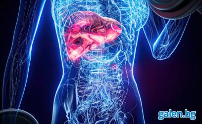 Цироза на черния дроб: ранни и късни симптоми, които не бива да игнорираме